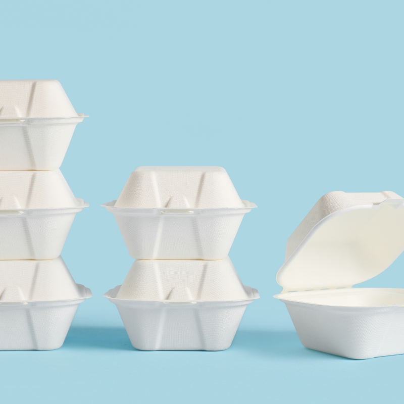 Bagasse Containers
