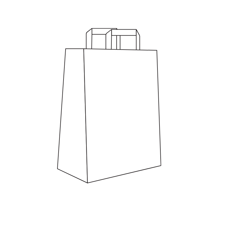 Strong Flat Handle Bags (100pcs) - Large