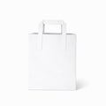 Large White Paper Bags - Flat Handle (250pcs)